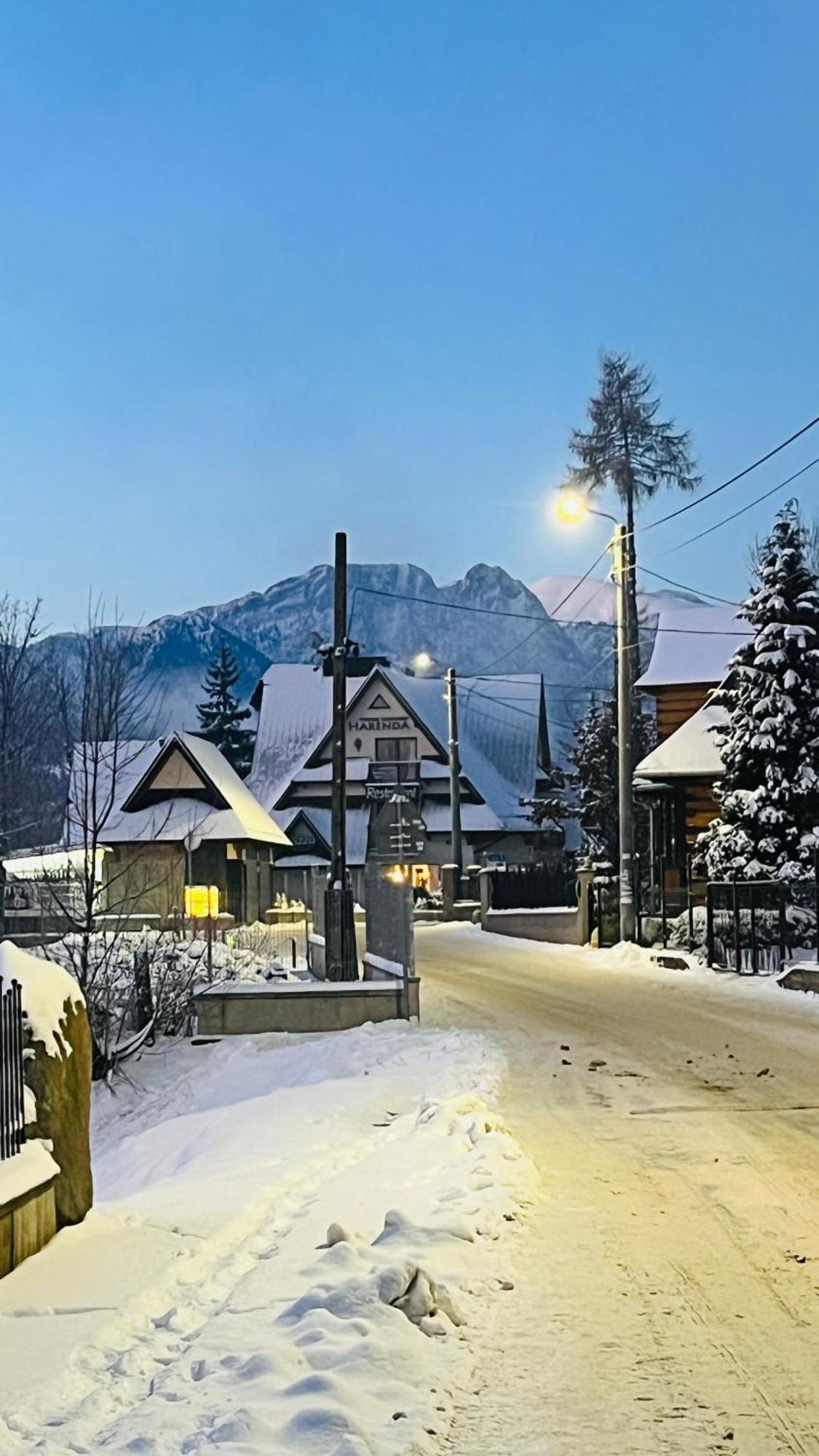 Bed and Breakfast Harenda Zakopane Exterior foto
